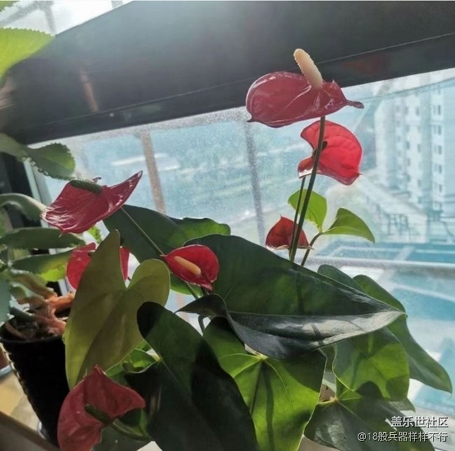 【夏日清凉】最美大自然