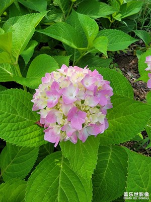 【遇见五月天】+公园乐趣