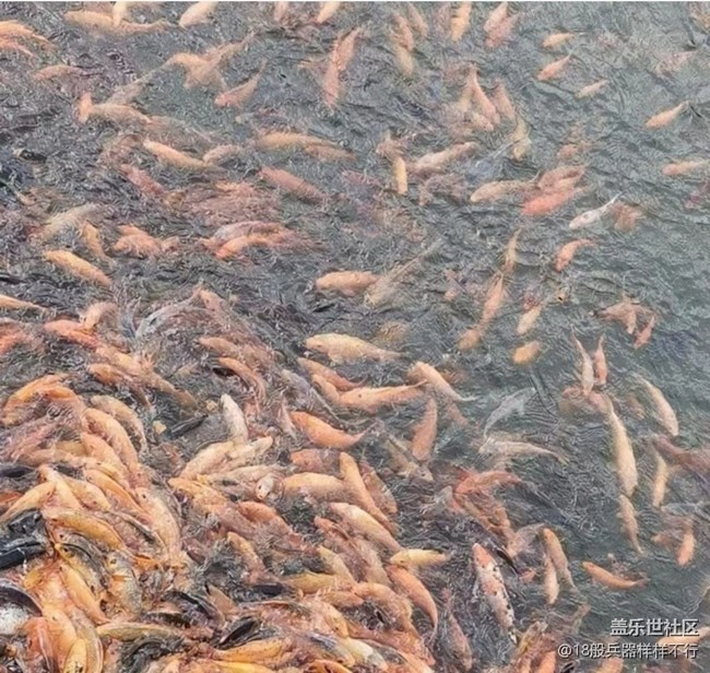 【夏日清凉】最美大自然