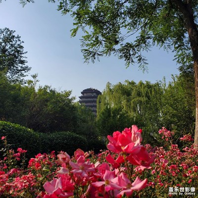遇见五月中国最美书店