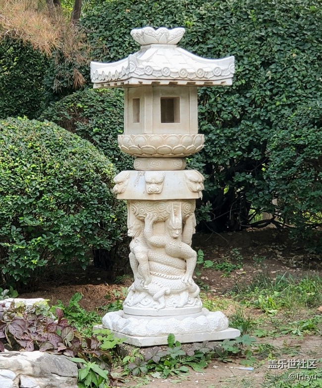 【遇见旧时光】+公园拾忆