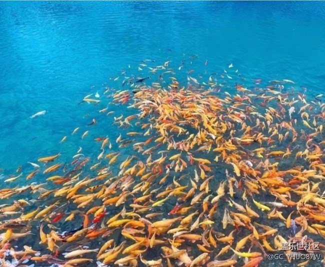 【夏日清凉】夏初风景好