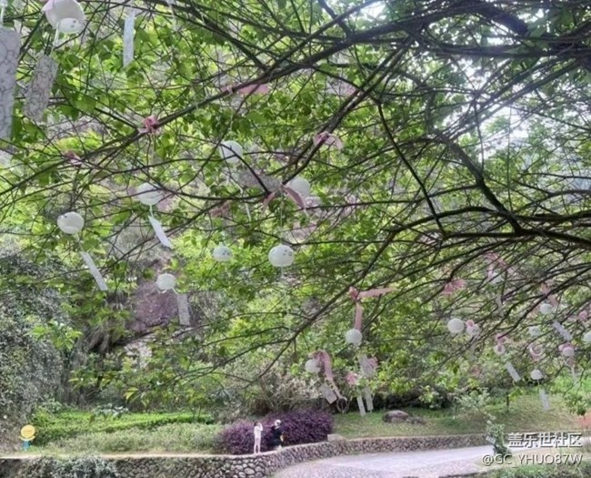【夏日清凉】夏初风景好