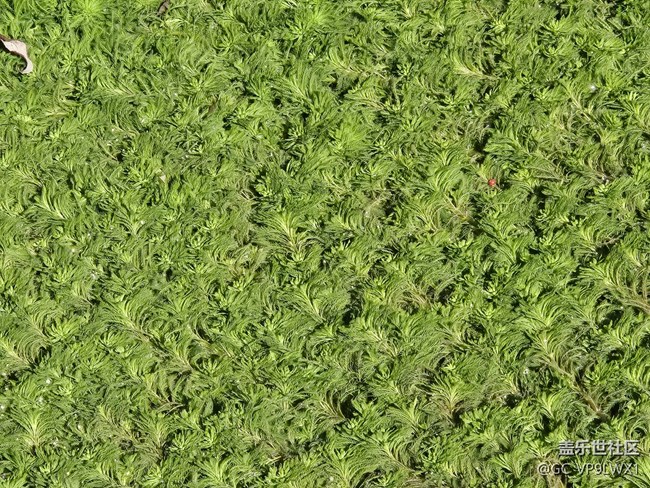 【山水春意】有山有水