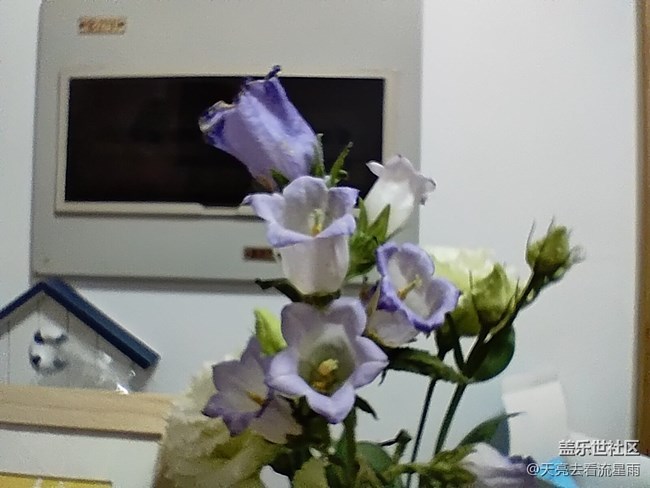 【山水春意】花之春