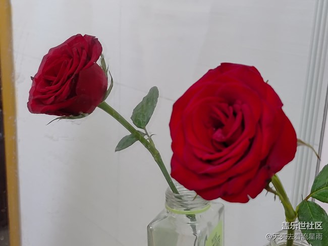 【山水春意】花之春