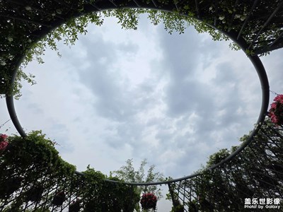 【悦见小满】花开盛夏