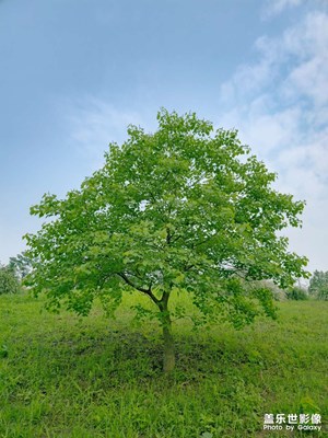 【悦见小满】记录日常