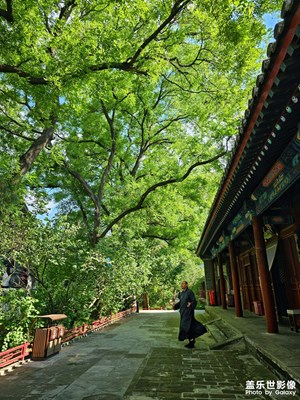 【悦见小满】古寺风光