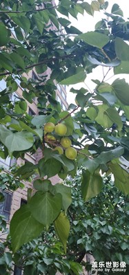 【悦见小满】+我的摄影