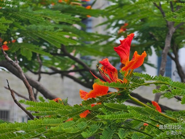 【夏日清凉】户外清凉