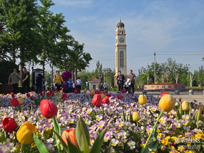 【 长焦与微距】春日花海