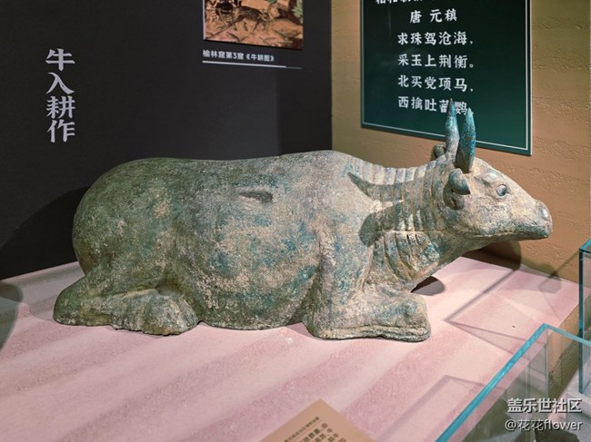 【贺兰山下桃花石线下摄影活动】+活动回顾