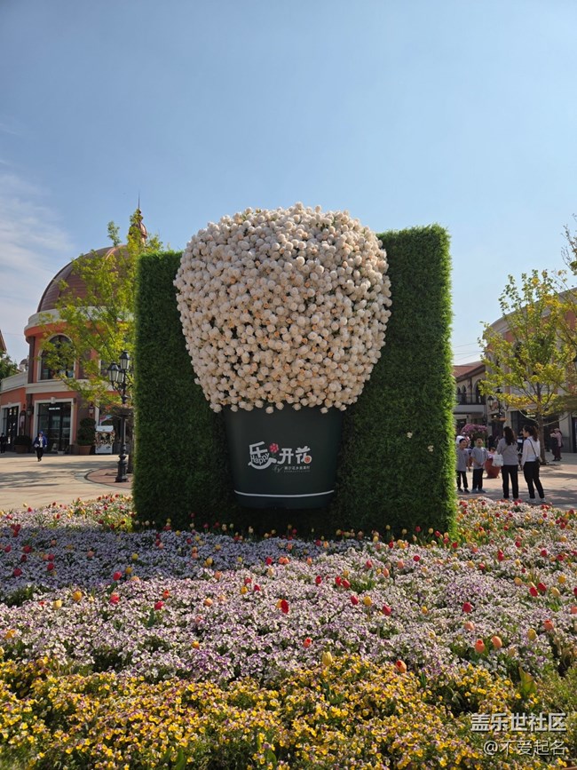 【 长焦与微距】春日花海