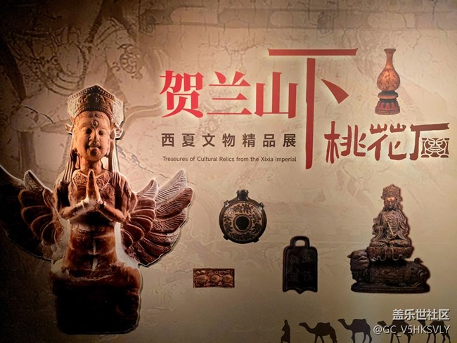 【贺兰山下桃花石线下摄影活动】+西夏文明