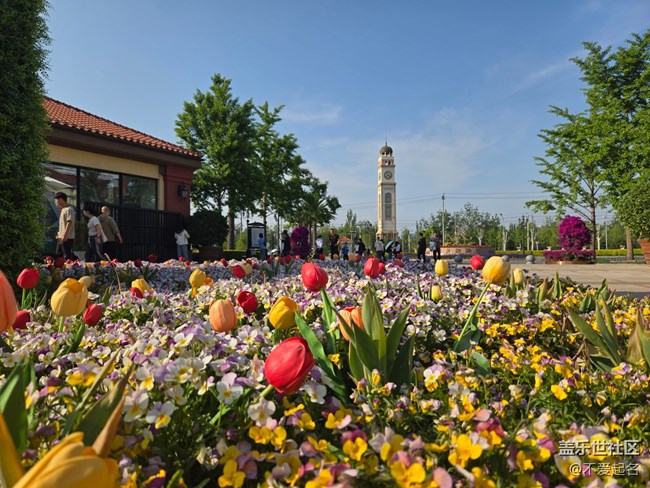 【 长焦与微距】春日花海