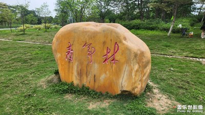 【悦见小满】小满