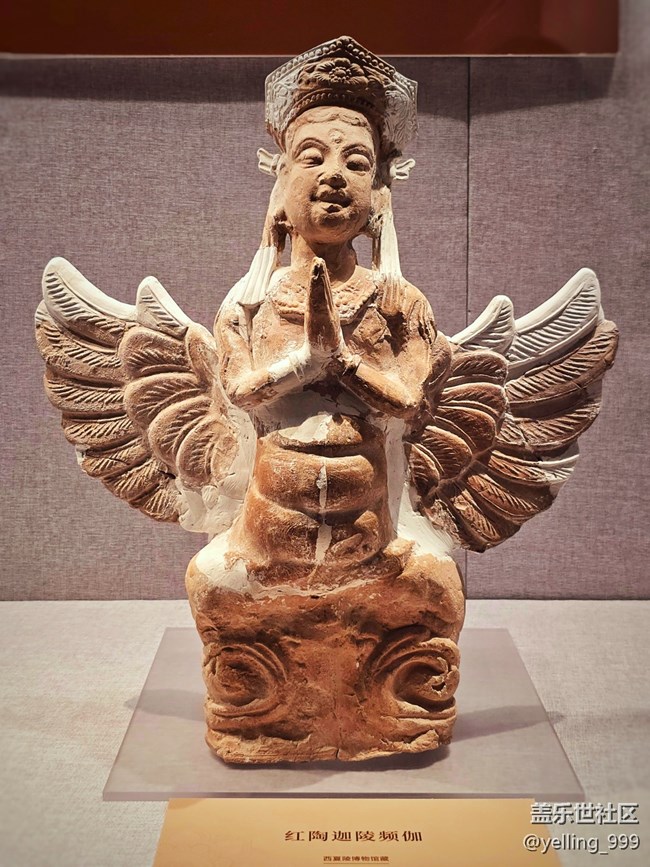 上海星部落5月24日贺兰山下桃花石线下摄影活动回顾帖