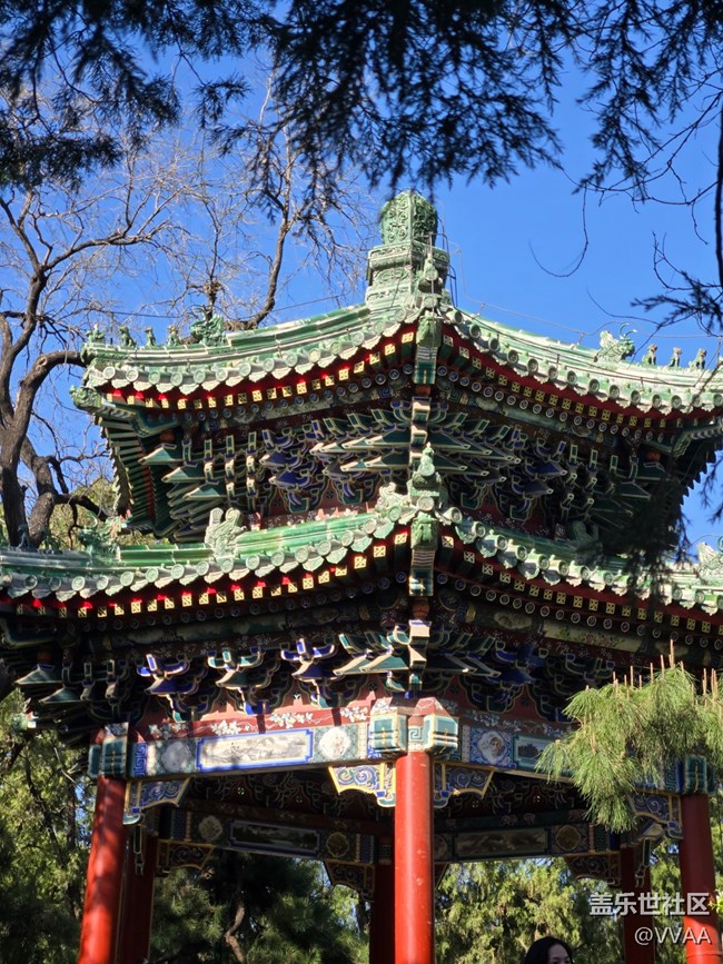 【 长焦与微距】长焦取景