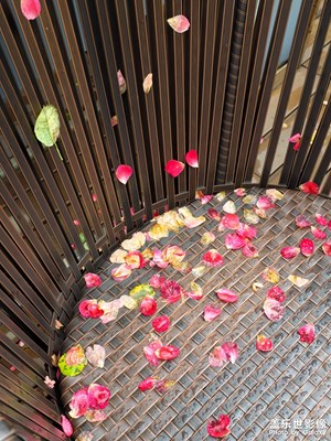 【悦见小满】花满半夏