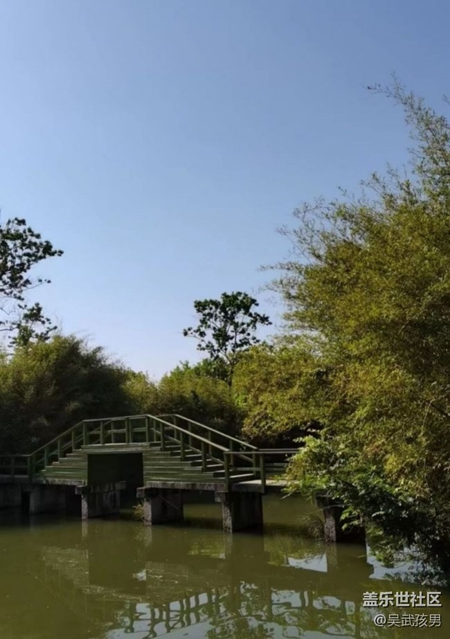 【春夏之旅】绿意葱茏