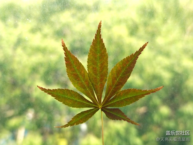 【发现身边的对称之美】随拍身边的对称美