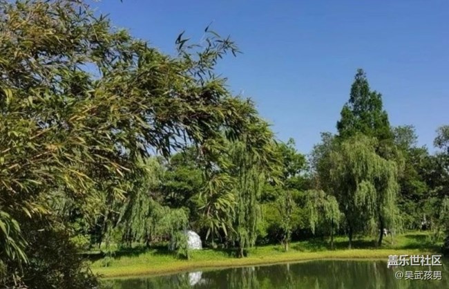 【春夏之旅】绿意葱茏
