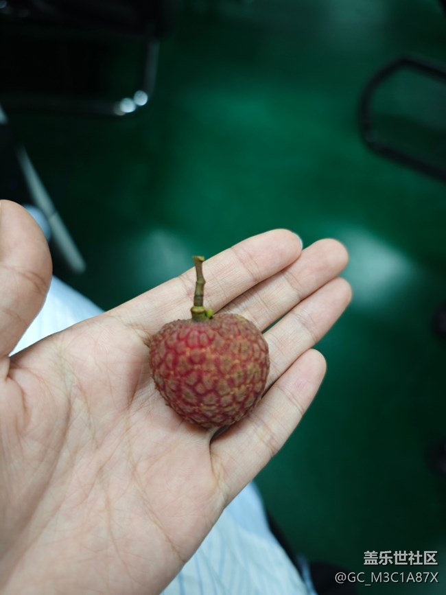 【荔枝飘香】蹭吃荔枝