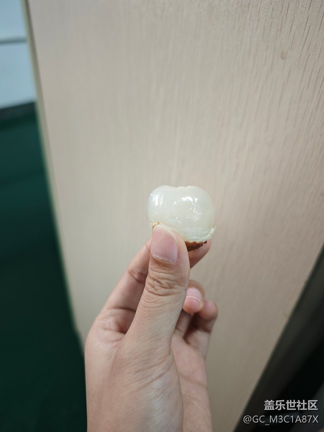 【荔枝飘香】蹭吃荔枝
