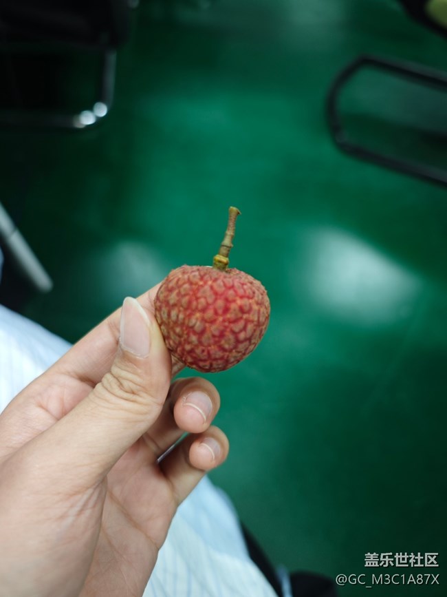 【荔枝飘香】蹭吃荔枝