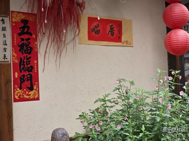 春游线下摄影活动