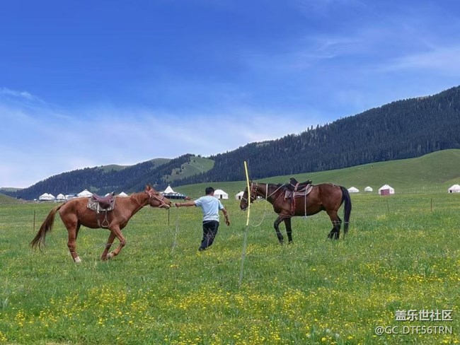 【春夏之旅】伊昭公路