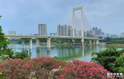 【城市漫步】花满绿城