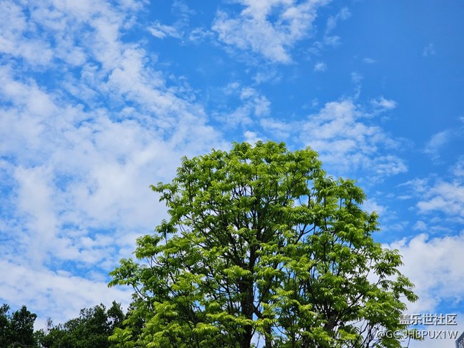 【Galaxy影像】#立夏·初夏之约