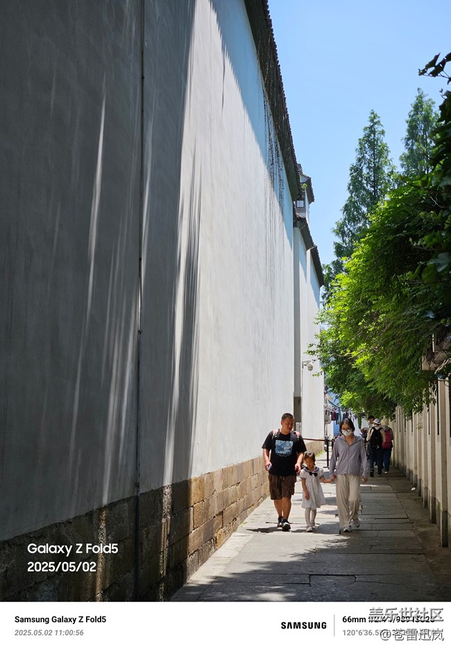 【五月物候观察手册】古宅寻春
