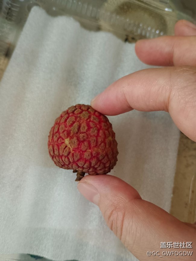 【荔枝飘香】白蜡 与白糖罂孰美？