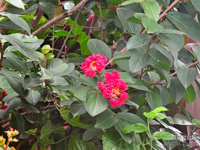 【生活碎片】有风的5月