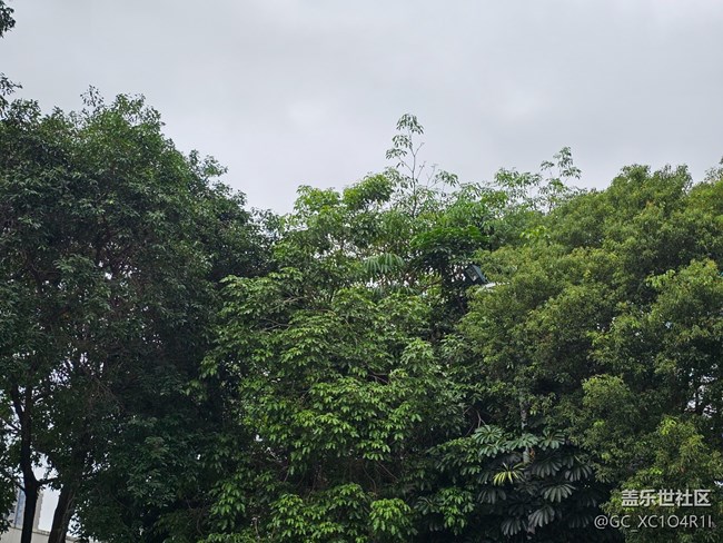 【生活碎片】平平淡淡