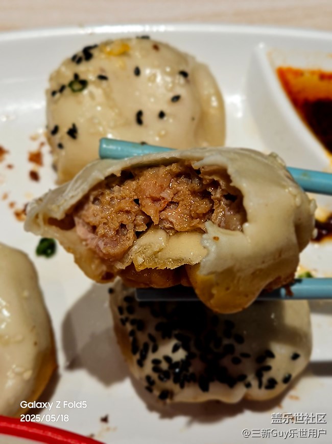【五月物候观察手册】小杨生煎