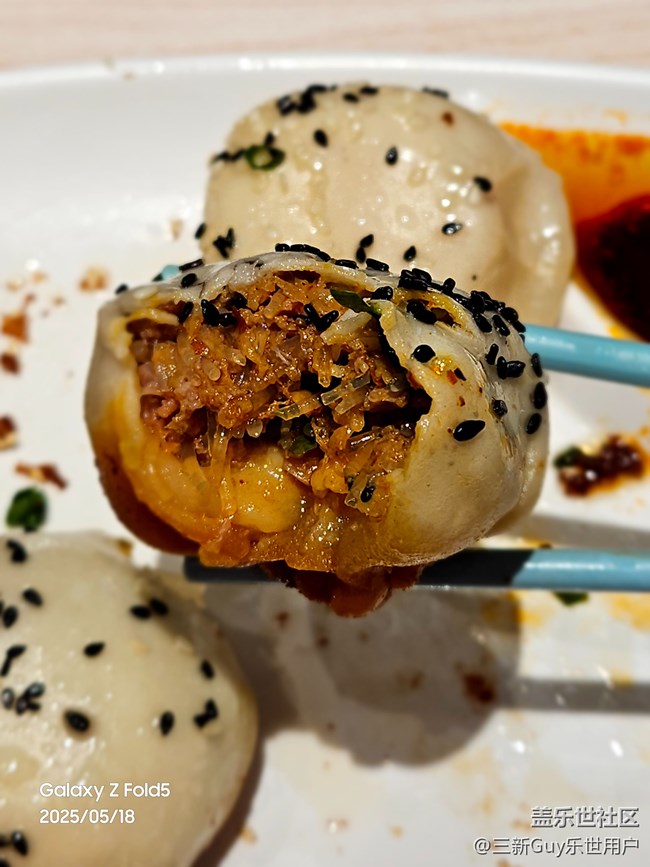 【五月物候观察手册】小杨生煎