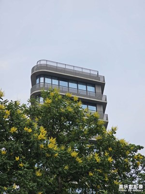 【城市漫步】+ 夏日绿洲