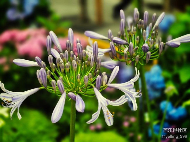 上海星部落5月31日丰盛里citywalk线下摄影活动回顾帖