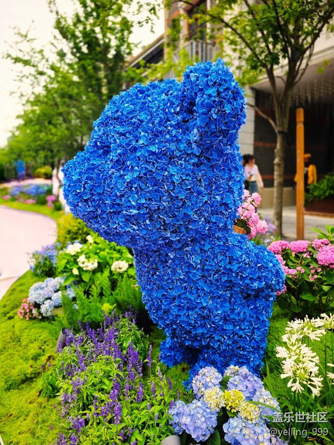 上海星部落5月31日丰盛里citywalk线下摄影活动回顾帖