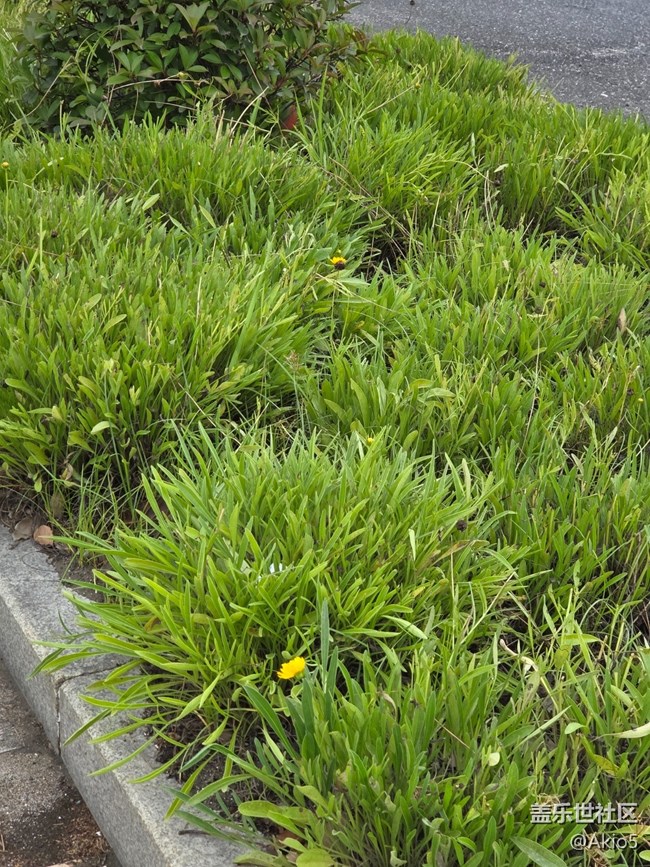 【五月物候观察手册】大自然