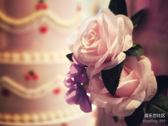 上海星部落5月31日丰盛里citywalk线下摄影活动回顾帖