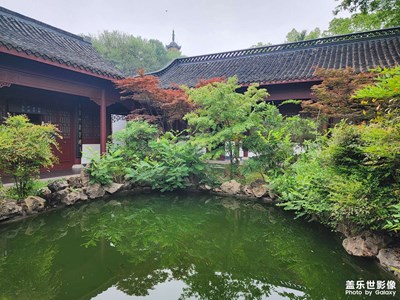 【遇见最美夏日】+城市花园