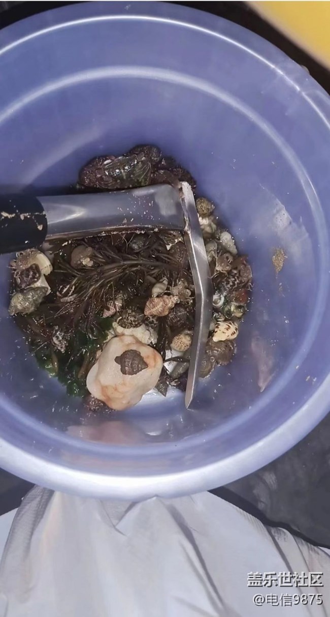 【浪漫盛夏季】海滩
