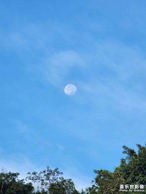 【遇见最美夏日】初夏的月亮