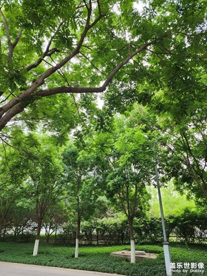 【遇见最美夏日】美好时光