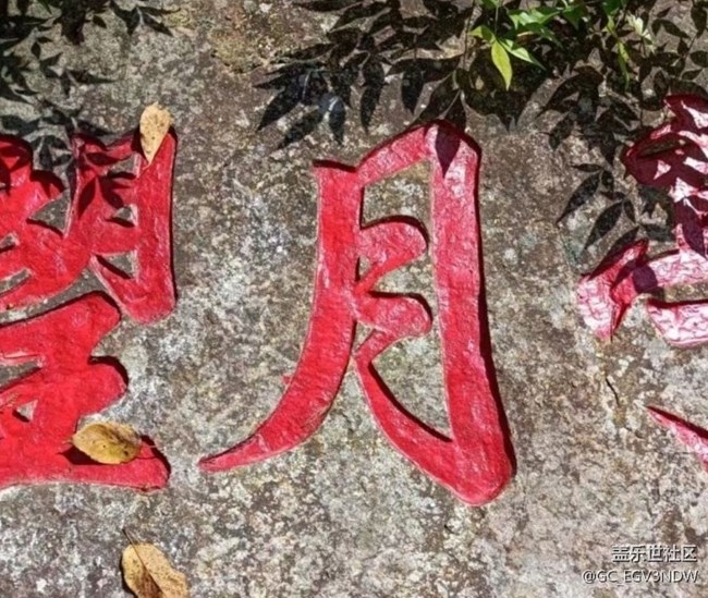 【浪漫盛夏季】四处走走